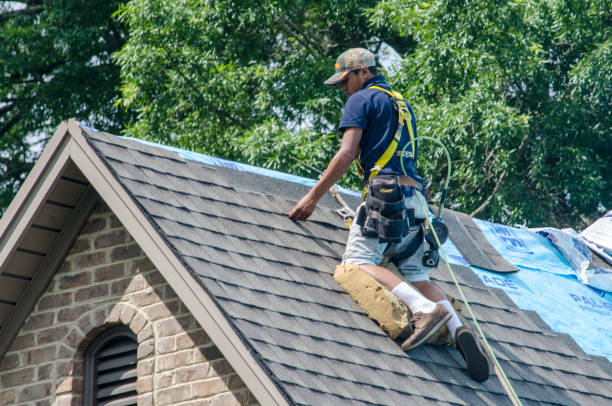 Professional Roofing Contractor in Rodeo, CA